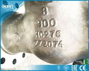 Hastelloy C276 schuifafsluiter