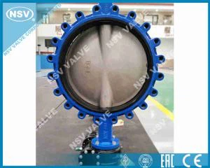 Lug Concentrische vlinderklep